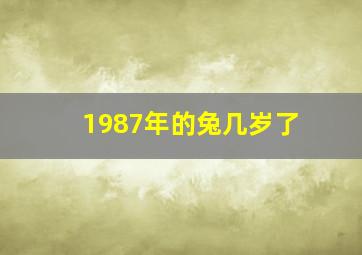 1987年的兔几岁了