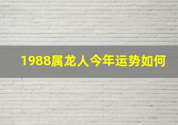 1988属龙人今年运势如何