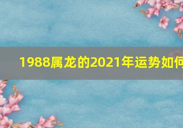 1988属龙的2021年运势如何