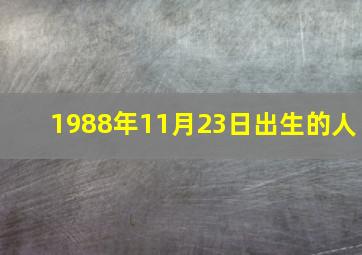 1988年11月23日出生的人