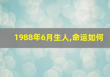 1988年6月生人,命运如何