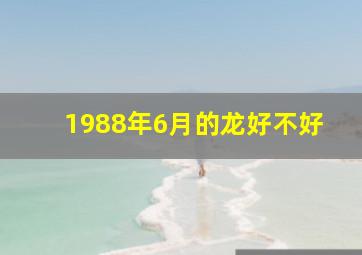 1988年6月的龙好不好