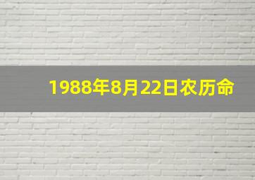 1988年8月22日农历命