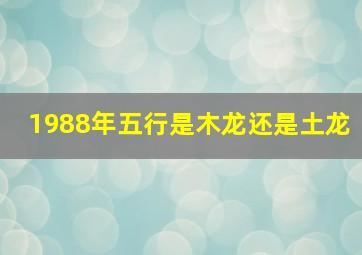 1988年五行是木龙还是土龙