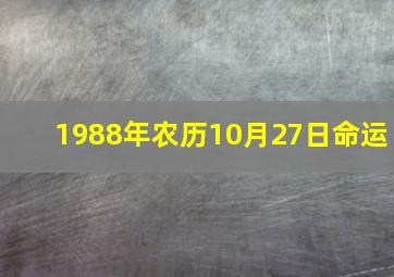 1988年农历10月27日命运