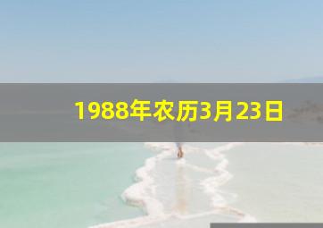 1988年农历3月23日