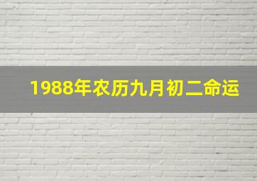 1988年农历九月初二命运