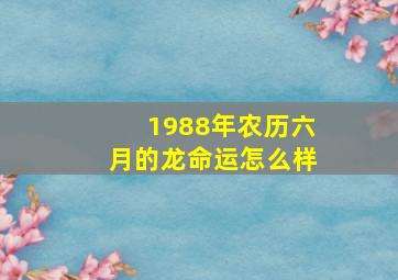 1988年农历六月的龙命运怎么样