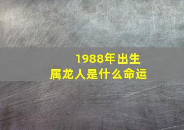 1988年出生属龙人是什么命运