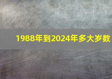 1988年到2024年多大岁数