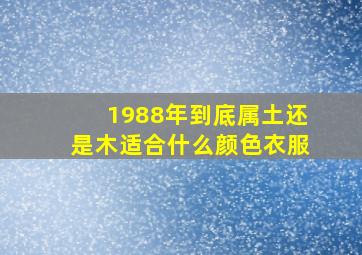 1988年到底属土还是木适合什么颜色衣服