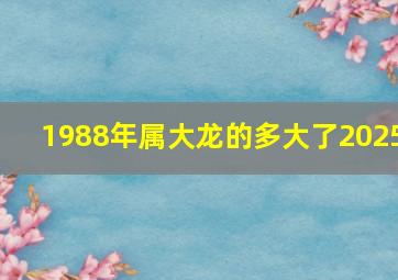 1988年属大龙的多大了2025