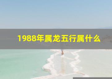 1988年属龙五行属什么