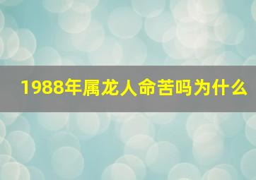 1988年属龙人命苦吗为什么