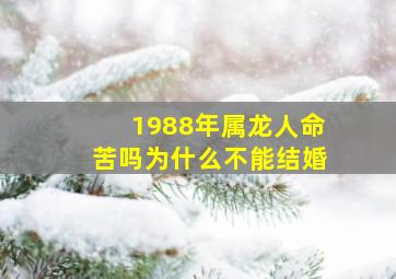 1988年属龙人命苦吗为什么不能结婚