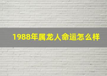 1988年属龙人命运怎么样