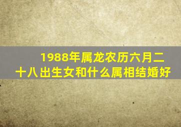 1988年属龙农历六月二十八出生女和什么属相结婚好