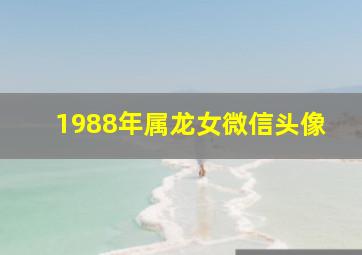 1988年属龙女微信头像