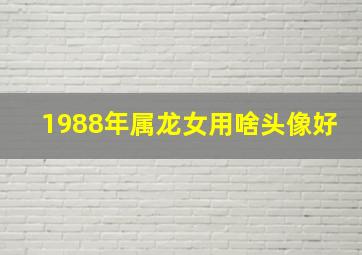 1988年属龙女用啥头像好