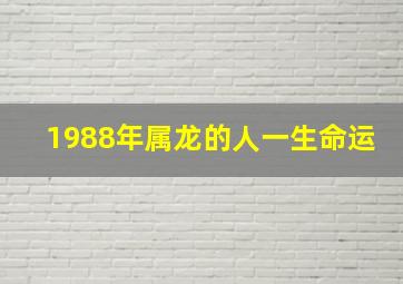 1988年属龙的人一生命运