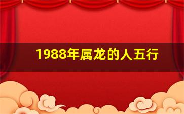 1988年属龙的人五行