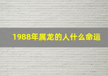 1988年属龙的人什么命运