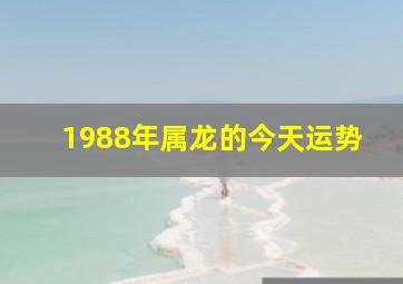 1988年属龙的今天运势