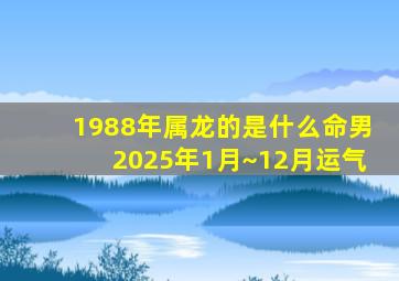 1988年属龙的是什么命男2025年1月~12月运气