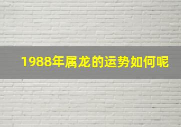 1988年属龙的运势如何呢