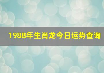 1988年生肖龙今日运势查询