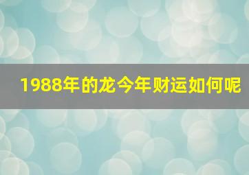 1988年的龙今年财运如何呢