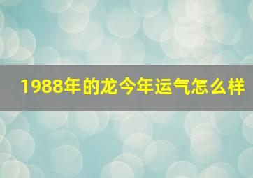 1988年的龙今年运气怎么样