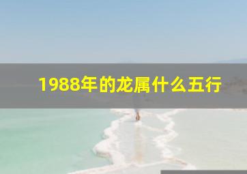 1988年的龙属什么五行