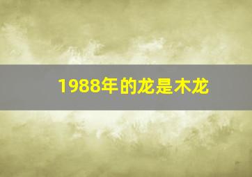 1988年的龙是木龙