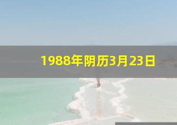 1988年阴历3月23日