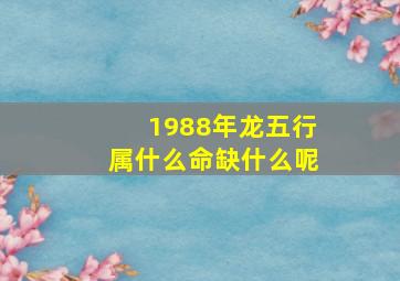 1988年龙五行属什么命缺什么呢