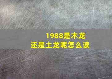 1988是木龙还是土龙呢怎么读