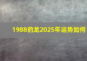 1988的龙2025年运势如何