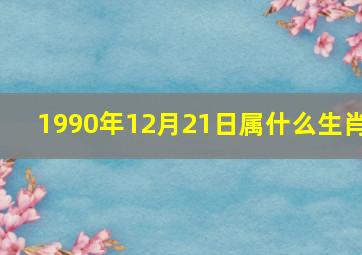 1990年12月21日属什么生肖