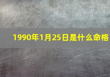 1990年1月25日是什么命格