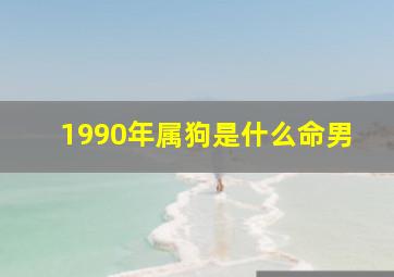 1990年属狗是什么命男