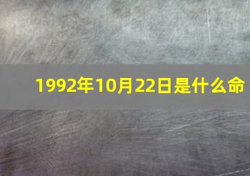 1992年10月22日是什么命