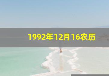 1992年12月16农历