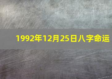 1992年12月25日八字命运