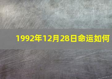 1992年12月28日命运如何