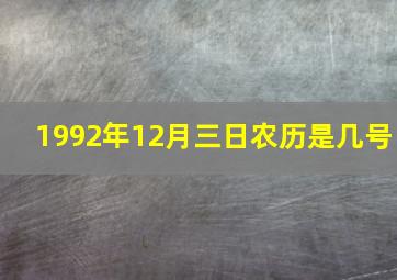 1992年12月三日农历是几号