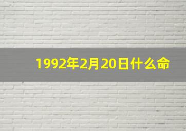 1992年2月20日什么命