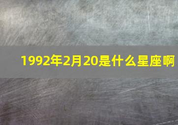 1992年2月20是什么星座啊