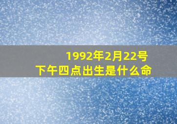 1992年2月22号下午四点出生是什么命