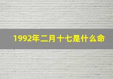 1992年二月十七是什么命